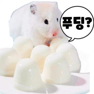 (BEST) YEE 햄스터 산양유 푸딩 12P 간식 골든 드워프 햄스터 친칠라 토끼 래트 기니피그