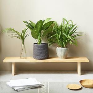 원목화분받침대 원목 긴 롱 화분 다이 받침 스툴 선반 스탠드 진열대 거치대 정리대 특대형