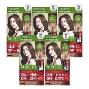 엘지 엘라스틴 염색약 살롱드컬러 애쉬브라운 X 5개
