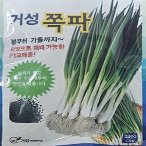 거성 쪽파씨앗 1000립 일년내내 쪽파씨앗으로재배가능 F1교배종