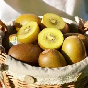 제스프리 유기농 골드키위 2kg(16-18입)