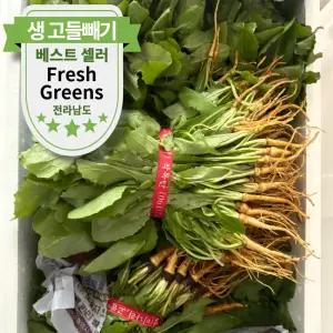 충남 황토 햇 고들빼기 쌉싸름한 생고들빼기 1kg