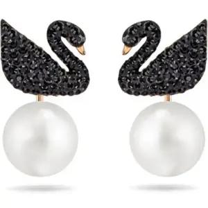 [브랜드 주얼리]  Iconic Swan 이어링 5193949