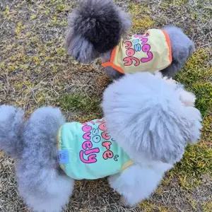 강아지 컬러팝 크롭 나시티 1P 여름 민소매 티셔츠 WFHVY99