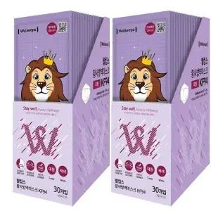 [웰킵스] 웰킵스 KF94 대형 마스크 30개x 2 황사 미세먼지 초미세먼지