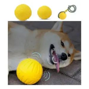 키밍 강아지 실리콘 원반 장난감 플라잉 운동 던지기 훈련 디스크 WFL4J42