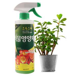초록스타 식물 영양제 500ml/ 원예 화초 화분 퇴비 해충