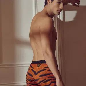 어흥이팬티(VMP7059T)