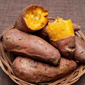 수진농장 꿀고구마 10kg(왕/요리용/튀김용)