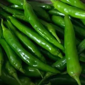 산정마을 국내산 풋고추 1kg