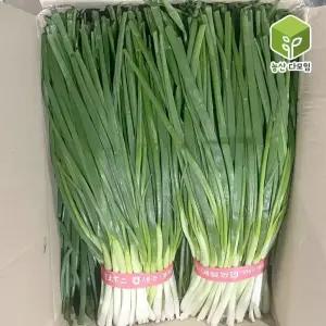 국내산 흙쪽파 깐쪽파 5kg 1box