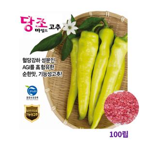 오스템바이오 당조고추 당조마일드고추 100립 종자 씨앗 혈당억제 루테올린 기능성 AGI