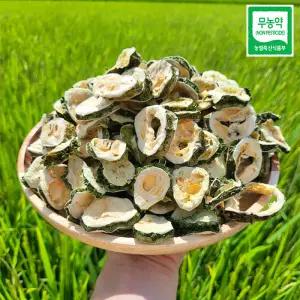 천지농원 무농약 국산 건여주 300g 말린여주