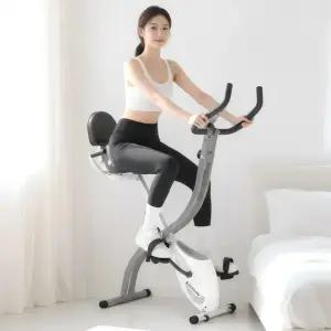 이고진 LPX1 실내 자전거 헬스 사이클