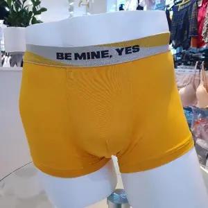 [예스] DP02 깔끔 노랑 남성 드로즈팬티 110 남자 편한사각 스판 밴드 팬티 학생  (S13986631)