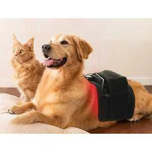 강아지 적외선 조사기 척추 다리 가정용 찜질기 근적외선