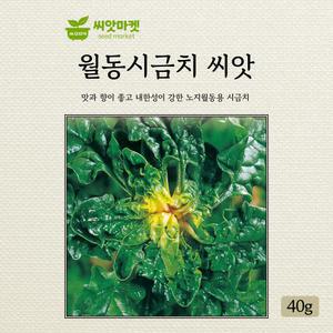 산들마켓 월동시금치 씨앗 40g 노지 월동재배 시금치씨 종자