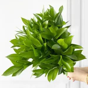 (플라워마켓) 유스커스 5대 한단 그린소재 양재꽃시장 생화 배달 꽃 싼곳