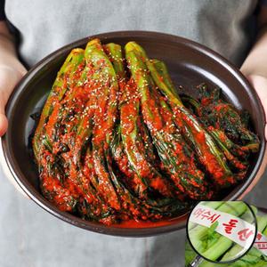 여수 돌산 갓김치 맛집 택배 돌갓김치 2kg