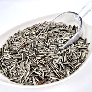 깨끗한 해바라기씨 400g 앵무새 햄스터 다람쥐 간식 사료 먹이 건강알곡