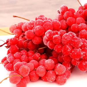 올해수확 최상급 급속냉동 오미자 생과 4kg 오미자청 당절임