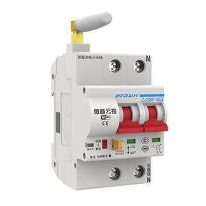 스마트 홈 WiFi 스위치 라이트 2P 32A/80A/100A 회로 차단기 IoT 스위치 App Ewelink 원격 제어 Alexa Goog