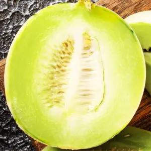 허니듀 멜론 6수