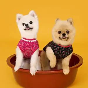 [BYC 본사] 반려견용 개리야스 김장조끼 ODA0005(소형견)