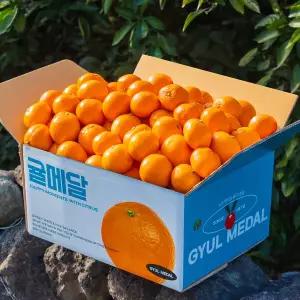 [귤메달] 제주 노지감귤 3kg(소과)