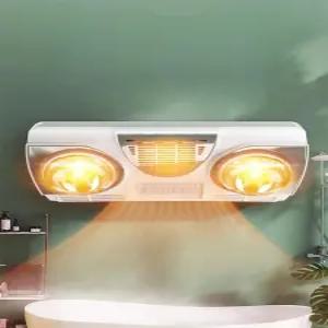 화장실 히터 욕실 온열등 램프 난방 벽걸이 난방기 형