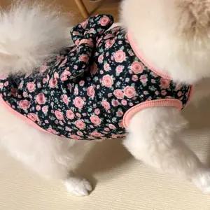 (무료배송) 강아지 할매 레트로 장미 김장조끼 S에서 2XL 애견의류 반려견 겨울 조끼