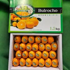 [북극곰농수산](대전신세계)불로초감귤 정품선별 12브릭스 이상 고당도 감귤 1.5kg(2S~M)