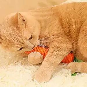 고품질 당근 강아지 장난감 인형 고양이 (WFFV5TU)