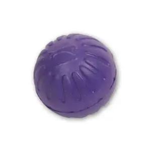 [골드스마일]M 바이올렛 강아지 판타스틱 장난감 스타마크 폼볼 애