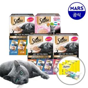 쉬바 미니 리치 35gx12개 골라담기+캣닢쿠션+템테이션12gx3개