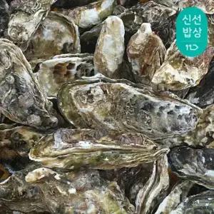 [품질보장] 이순신수산 산지 통영굴 프리미엄 석화 10kg (5인)