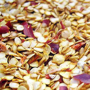 국내산 고추씨 1kg 국산 햇 고추씨앗 천연 칼칼한맛 쪽빛누리