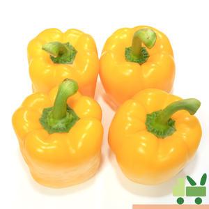 파프리카 2Kg (비품 - 노랑)