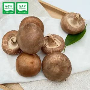 국내산 못난이 표고버섯 파지 2kg (무선별/실속형) 무농약 GAP인증