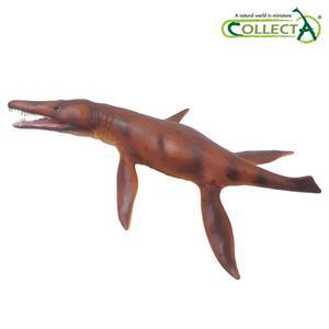 [컬렉타] 크로노사우루스 1:40 스케일 (턱관절 움직임)