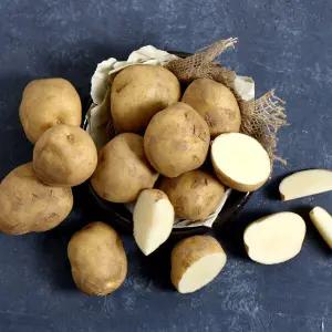 포근포근 감자 5kg 대