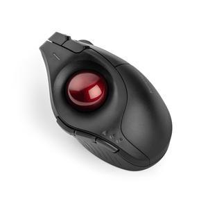 [공식수입 정품] 켄싱턴 에르고 버티컬 트랙볼마우스 l 무선/인체공학/손목보호 l 글로벌 브랜드 공식수입