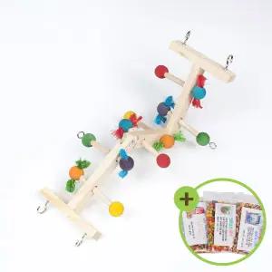 내맘대로 색동 사다리 앵무새 장난감 원목 버드토이