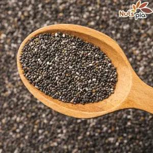 치아씨드 1kg 치아시드 파라과이 슈퍼퓨드