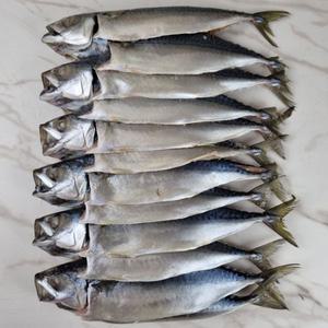 부산 자반 고등어 12미