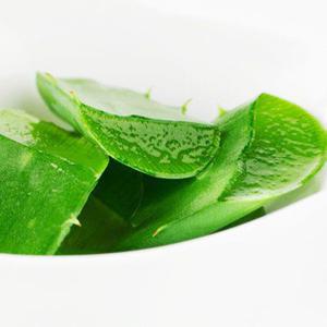 알로에베라젤 100g / 알로에젤 / 기능성원료