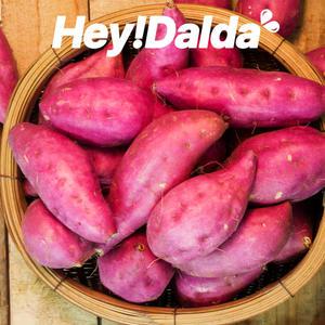 [평점 높은]25년 베니하루카 고구마 / 꿀 고구마 5kg(왕/대)