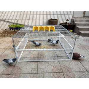 비둘기 포획기 새 트랩 포획틀 케이지 야생 덫 꿩 참새 조류 새잡는도구 과수원 새덫 새잡기