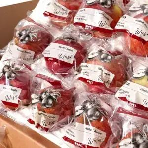 과일도감 세척사과 고당도 경북 영주 사과 2.5kg