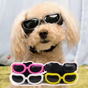귀여운 강아지 선글라스고글 소형견 애견선글라스 말티즈